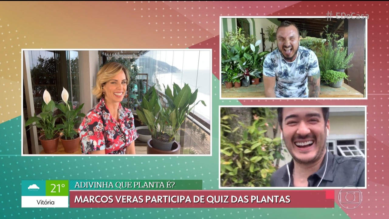 Marcos Veras participa de quiz sobre plantas