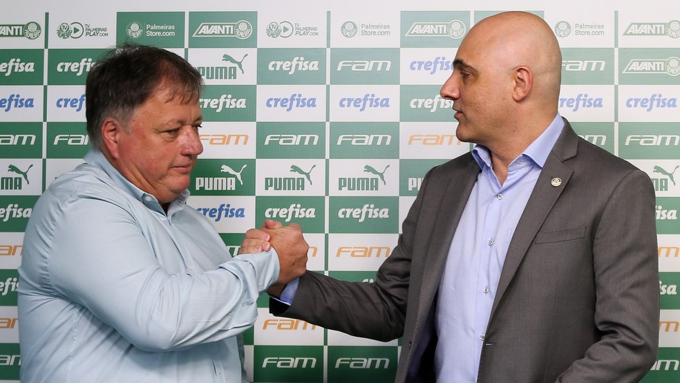 Palmeiras vê mercado difícil na América do Sul, evita 