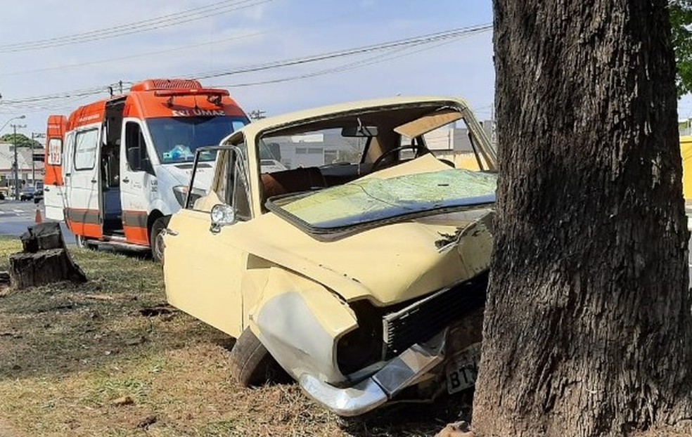 Motorista bate carro contra árvore em São Carlos — Foto: A Cidade ON/São Carlos