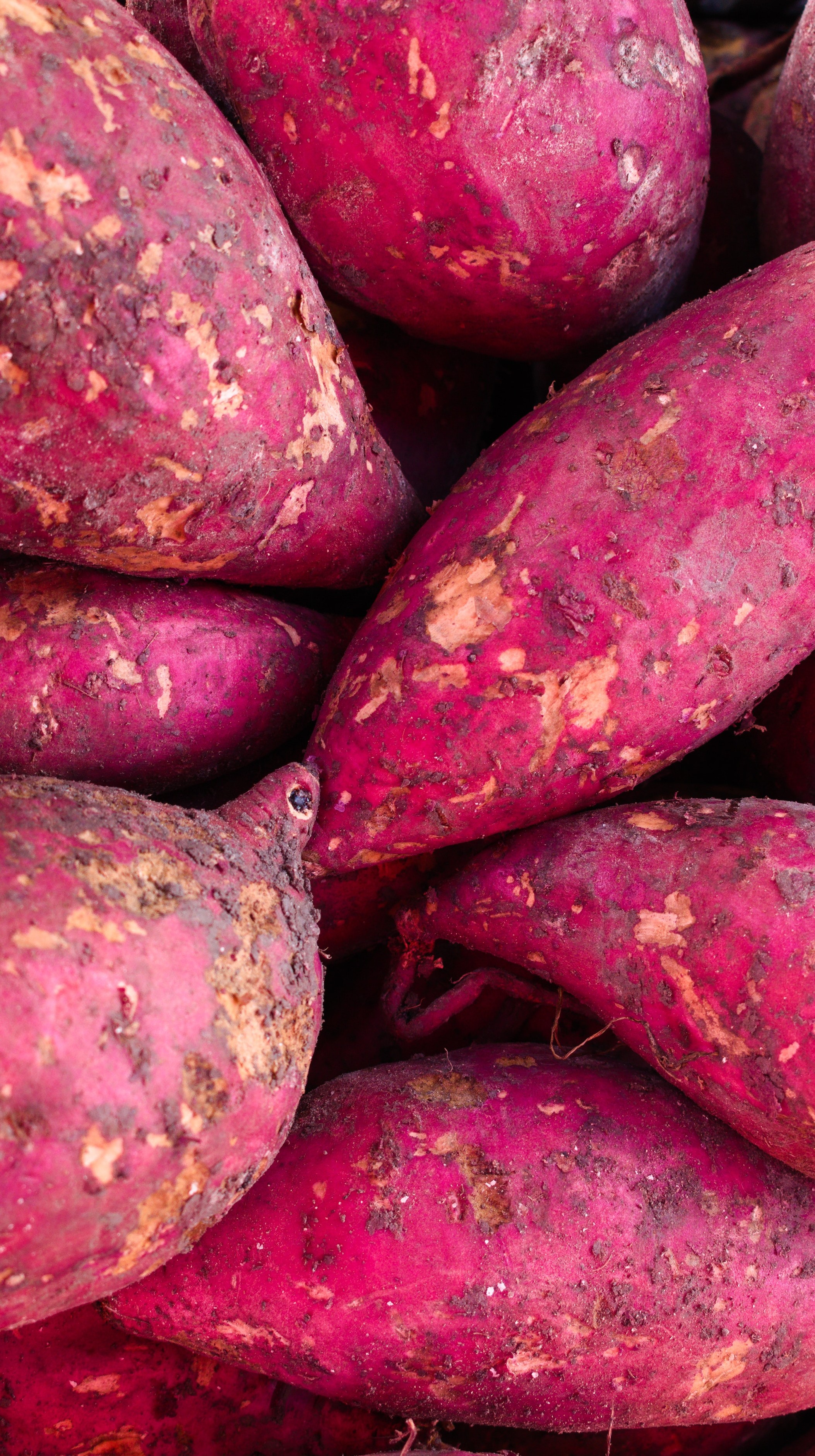 Batata-doce: entre na onda fitness e aprenda 6 receitas | Receitas