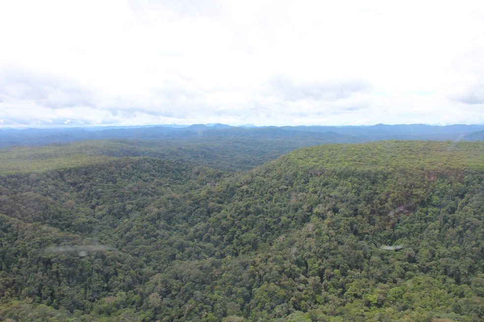 Casos se concentram na região de Auaris, na Terra Indígena Yanomami, na fronteira entre Brasil e Venezuela (Foto: Laudinei Sampaio/Rede Amazônica Roraima)
