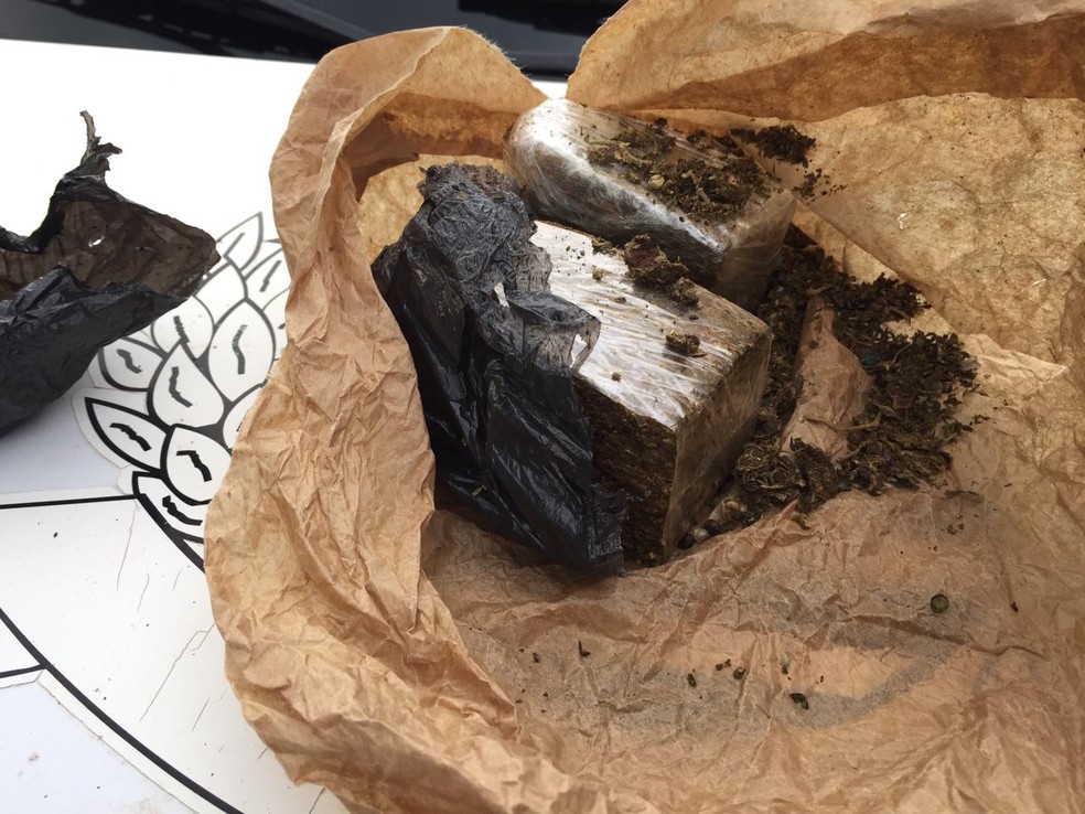 Operação Canis foi realizada em Pirapozinho, Presidente Prudente e Bauru — Foto: Murilo Zara/TV Fronteira