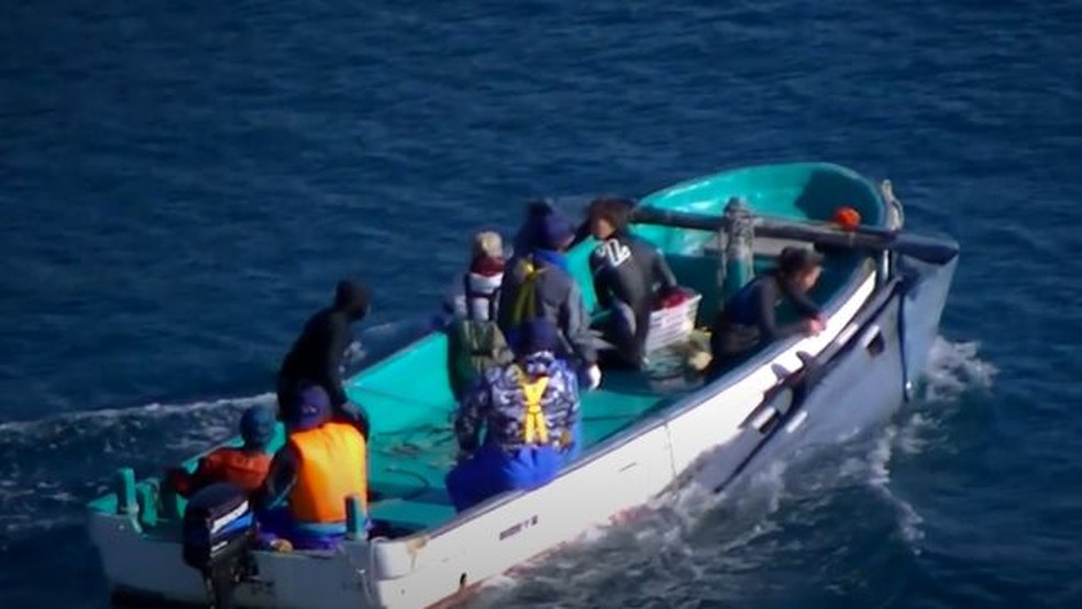 Barco carrega em sua lateral golfinhos capturados em praia no Japão — Foto: SEA SHEPHERD via BBC