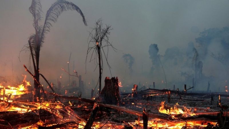 Fumaça de incêndios na região Amazônica foi carregada pelo vento e fez escurecer cidades de outras regiões (Foto: REUTERS)