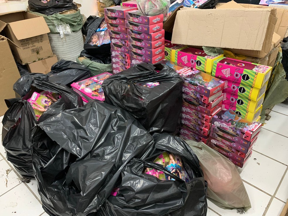 Produtos falsificados foram encontrados pela polícia — Foto: Gustavo Brendo/Inter TV Cabugi