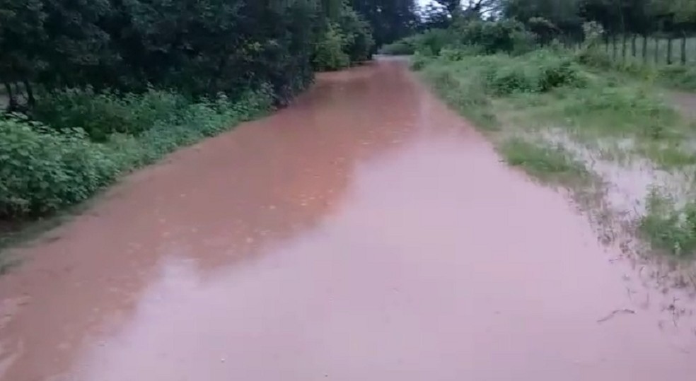 Volume das águas do Rio Poty Susuarana subiu e invadiu estrada que dá acesso a zona rural de Quiterianópolis. — Foto: Antônio Albedio Sales
