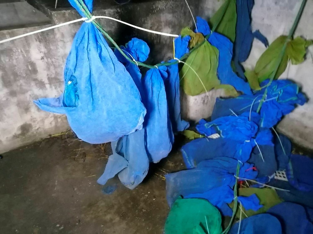 Macacos foram encontrados amarrados em sacos na Tailândia — Foto: REUTERS 