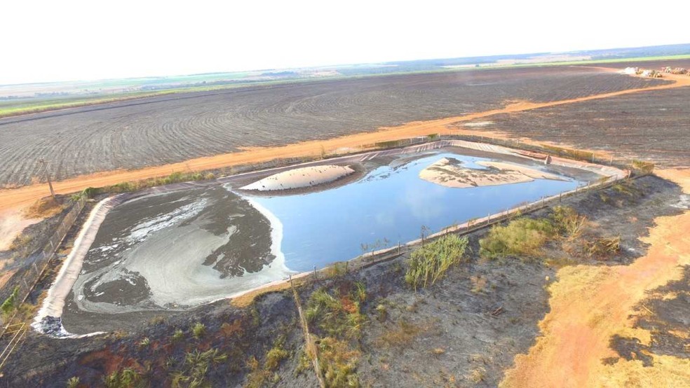 Empresa de MS Ã© multada em R$ 495 mil por atear fogo sem autorizaÃ§Ã£o ambiental (Foto: PMA/DivulgaÃ§Ã£o)