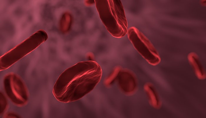"Sangue artificial" poderia ser transfundido em pacientes (Foto: Pixabay)