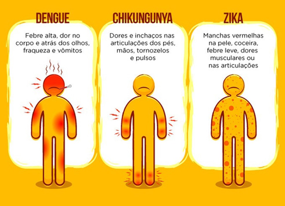 Sintomas das doenças transmitidas pelo mosquito Aedes Aegypti — Foto: Reprodução/Fiocruz Bahia