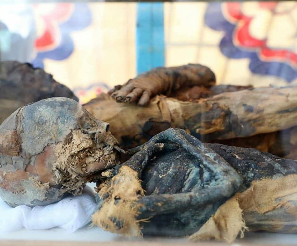Múmias encontradas em tumba de Acmim, na província de Sohag (Foto: Ministério de Antiguidades do Egito / Facebook)