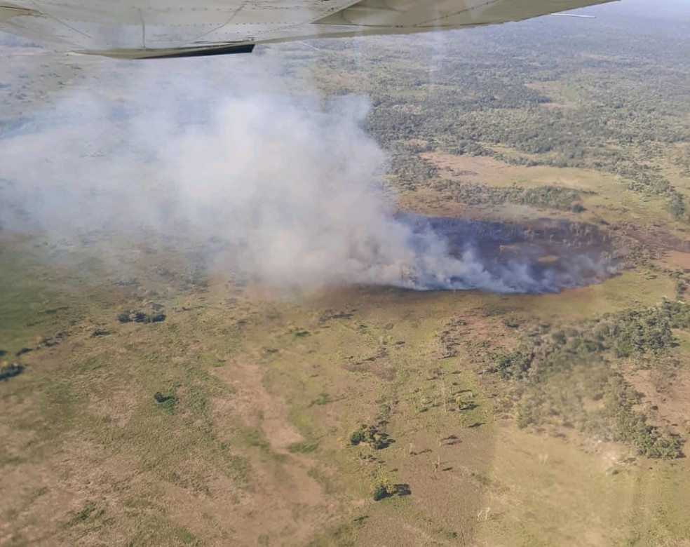Incndio atinge Terra Indgena Baa dos Guat  Foto: Divulgao