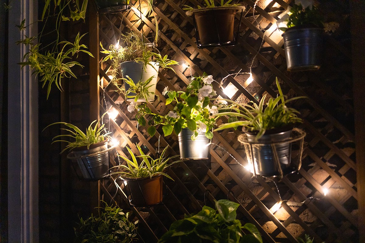 Econômica e com longa vida útil, a luz de LED apresentou bons resultados para algumas espécies dispostas em jardins verticais (Foto: GettyImages)
