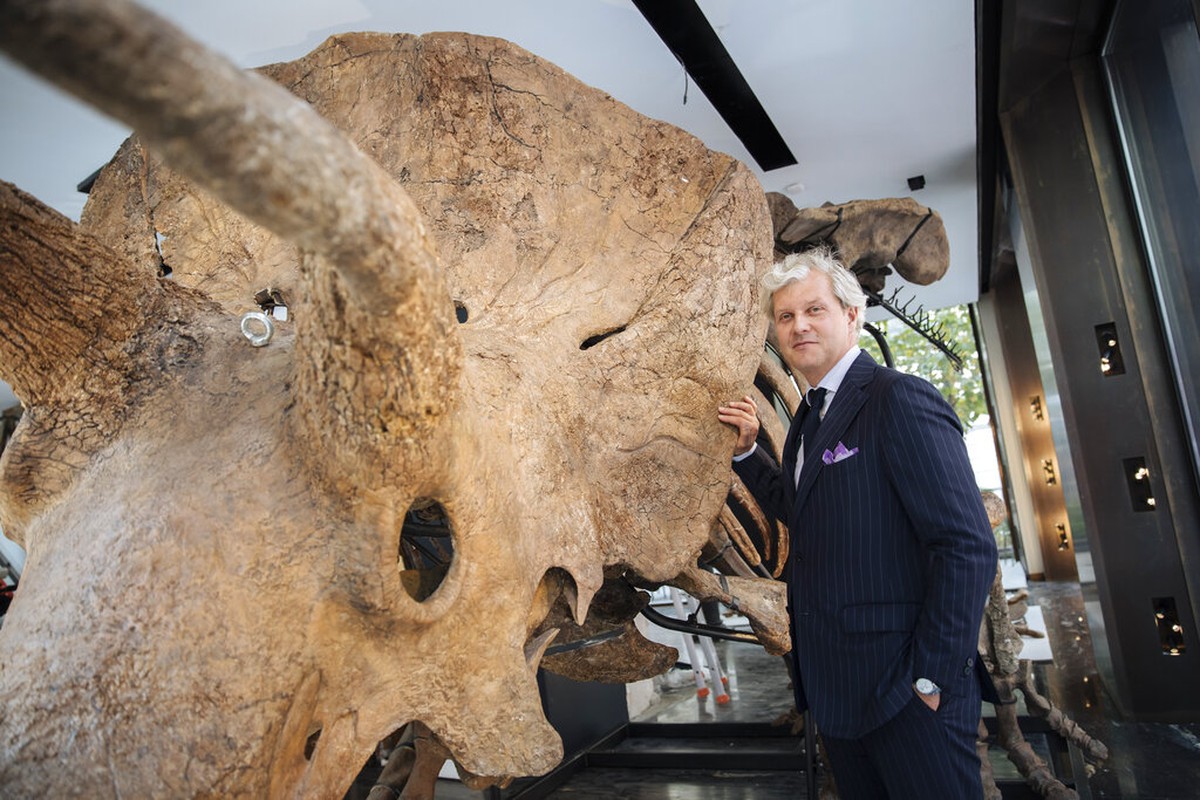 'Big John', o maior triceratops já descoberto, será exposto em Paris antes de leilão milionário