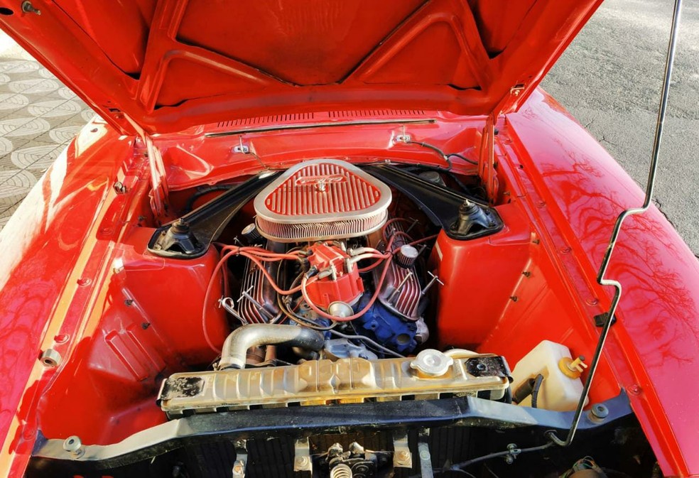 Motor V8 original — Foto: Arquivo pessoal 