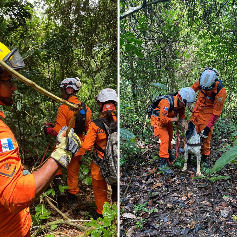 Bombeiros usam cães farejadores durante buscas pelo idoso — Foto: Bombeiros 