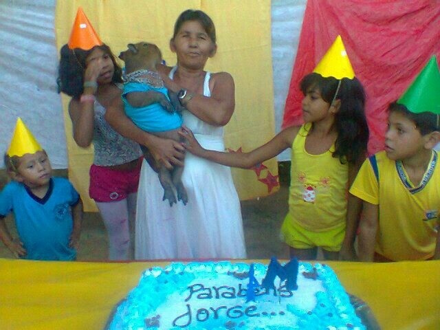 Capivara Jorge, porco galeroso, onça-pintada e vaquinha 'rolezeira': os bichos no g1 Roraima em 9 anos