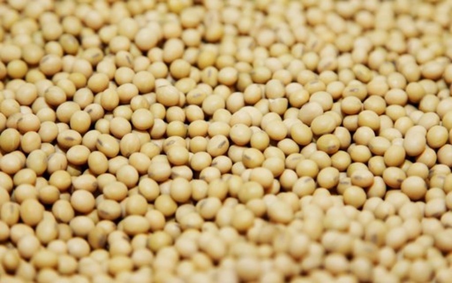 Colheita de soja da China é estimada em 20,3 milhões de toneladas