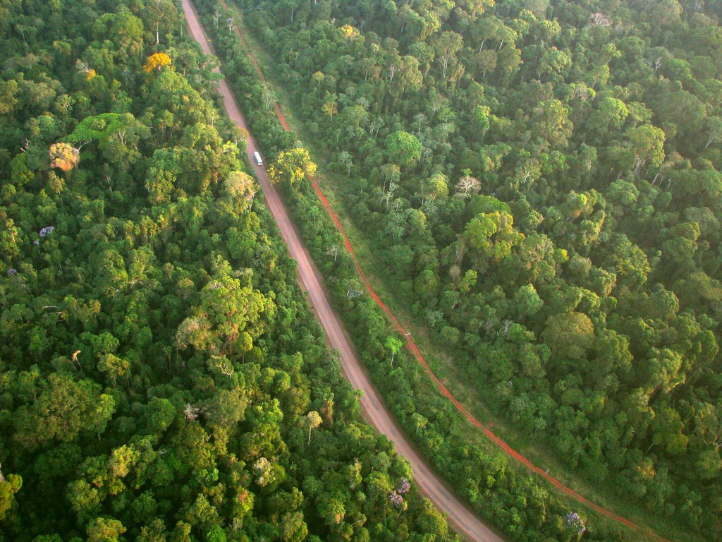 floresta-meio-ambiente-foto-aerea-mata-sustentabilidade-estada-aquecimento-global-efeito-estufa (Foto: Ana Cotta/CCommons)