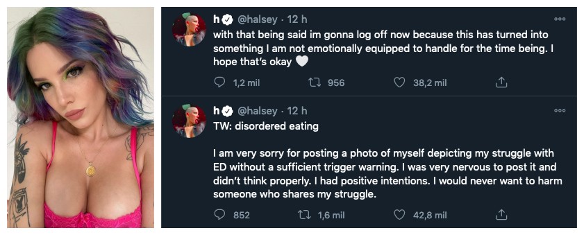 Os posts da cantora Halsey pedindo desculpas pela selfie compartilhada por ela (Foto: Instagram/Twitter)