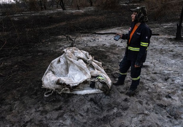 Uma anta de aproximadamente 300 quilos foi resgatada após cinco dias de monitoramento. Ela estava com as patas queimadas (Foto: BRUNA OBADOWSKI via BBC)