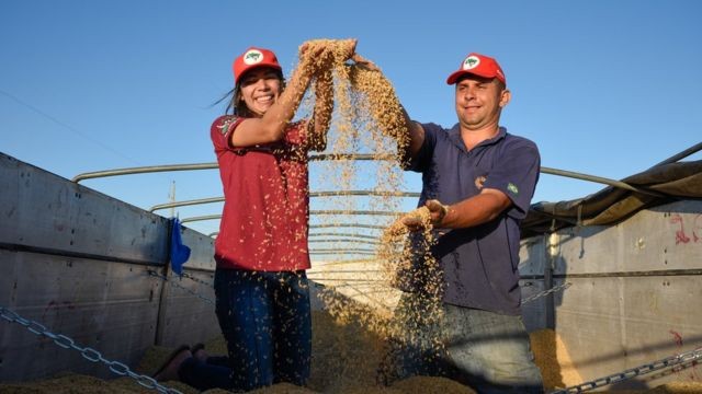 MST se destaca na produção do grão orgânico no país (Foto: ALEXANDRE GARCIA (via BBC))
