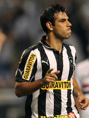 Herrera gol Botafogo (Foto: Satiro Sodré / AGIF)