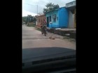 Vídeo mostra cachorro sendo arrastado por moto em Belém