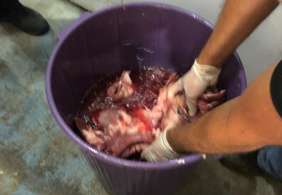 Operação 'Boi Garantido' apreende 300 kg de carne e derivados de origem clandestina em Campos, no RJ — Foto: Divulgação/Vigilância Sanitária