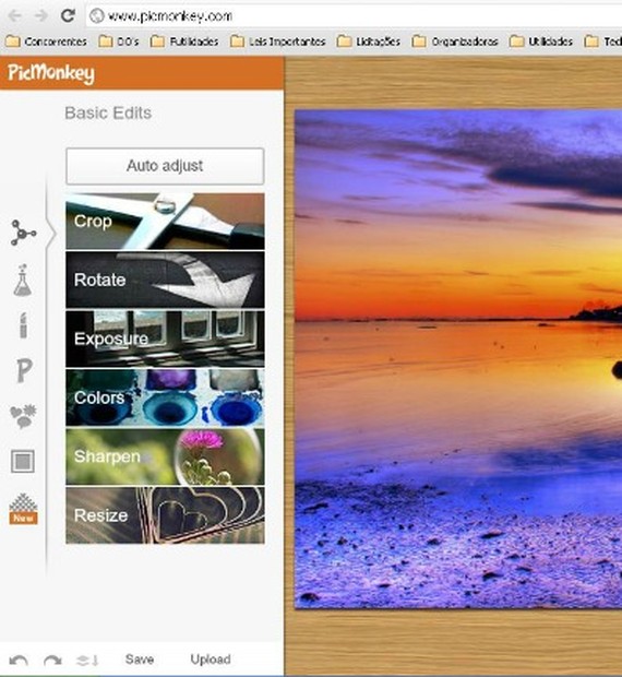 PICMONKEY SCARICARE