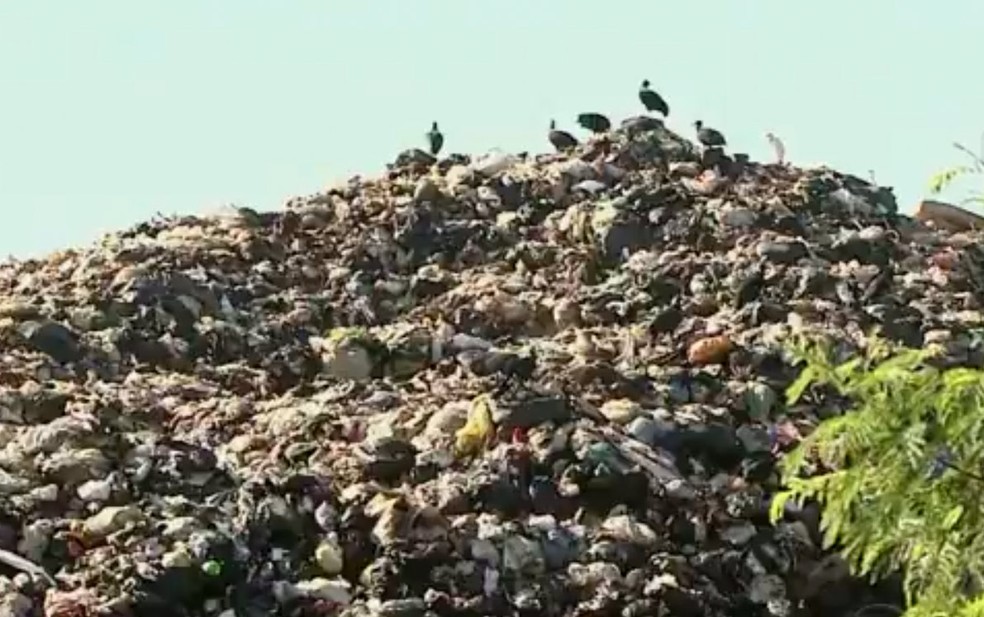 Em janeiro de 2016, moradores do Pau Queimado reclamaram de acúmulo de lixo em área de transbordo provisório (Foto: Edvaldo Souza/ EPTV)