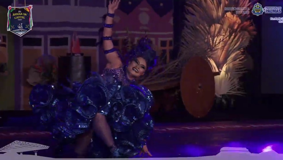 Apresentação foi dedicada a falar sobre a arara azul — Foto: Reprodução/Prefeitura de Palmas