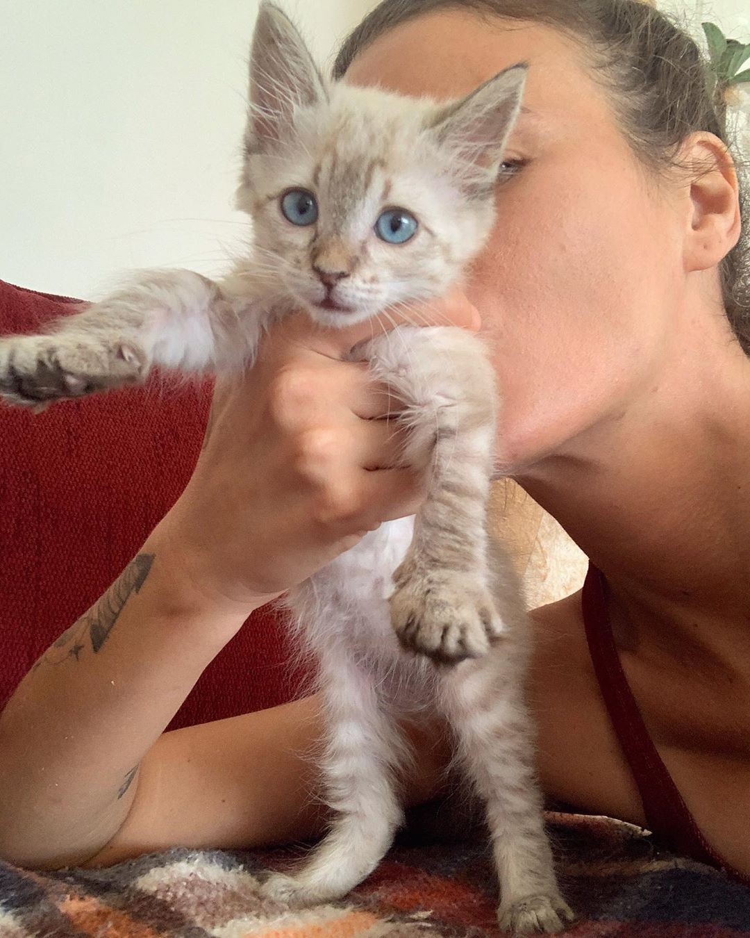 Ana Cañas adota gatinha (Foto: Reprodução/ Instagram)