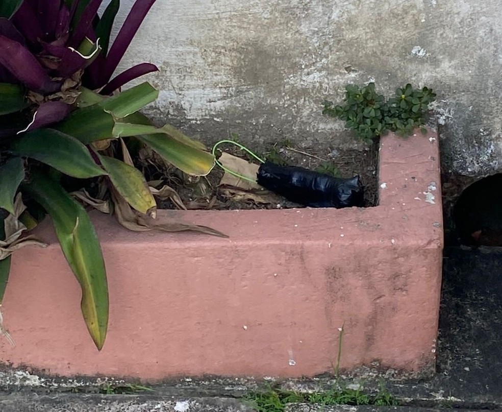 Artefato semelhante a bomba caseira é encontrado em rua no bairro do Farol, em Maceió — Foto: Viviane Maur/Arquivo pessoal