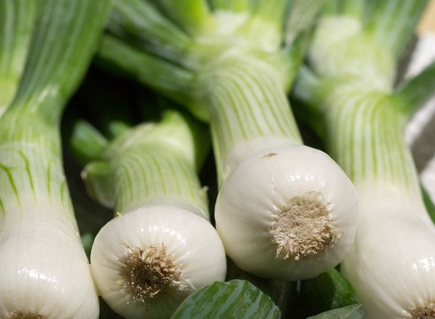 Cebolinha é um bom ingrediente para adicionar nas receitas caseiras (Foto: Pixabay)