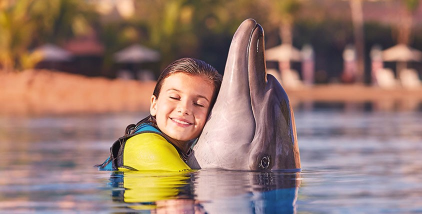 Menina abraça golfinho no Atlantis The Palm em Dubai (Foto: Divulgação)