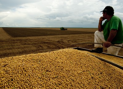 agricultura_soja_colheita (Foto: José Medeiros/Ed.Globo)