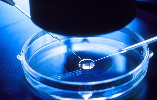 Nova técnica de fertilização in vitro (Foto: Getty Images)