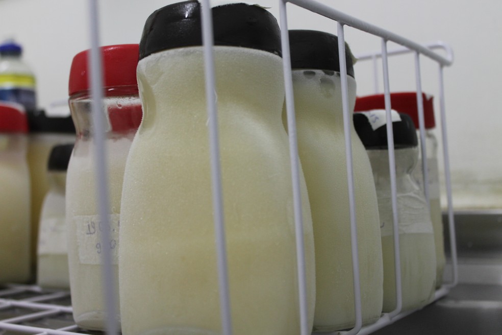 Biama de Petrolina — Foto: Samuel Moreira/TV Grande Rio