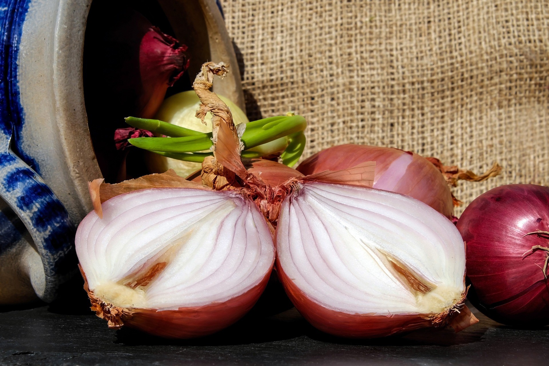 A cebola roxa se destaca pela crocância e sabor relativamente suave (Foto: Pixabay / Creative Commons)