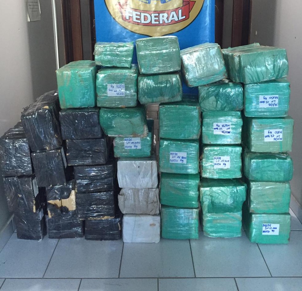 PF apreendeu 775 kg de maconha escondidos em cabine de carreta em Sinop â€” Foto: PolÃ­cia Federal de Mato Grosso/Assessoria