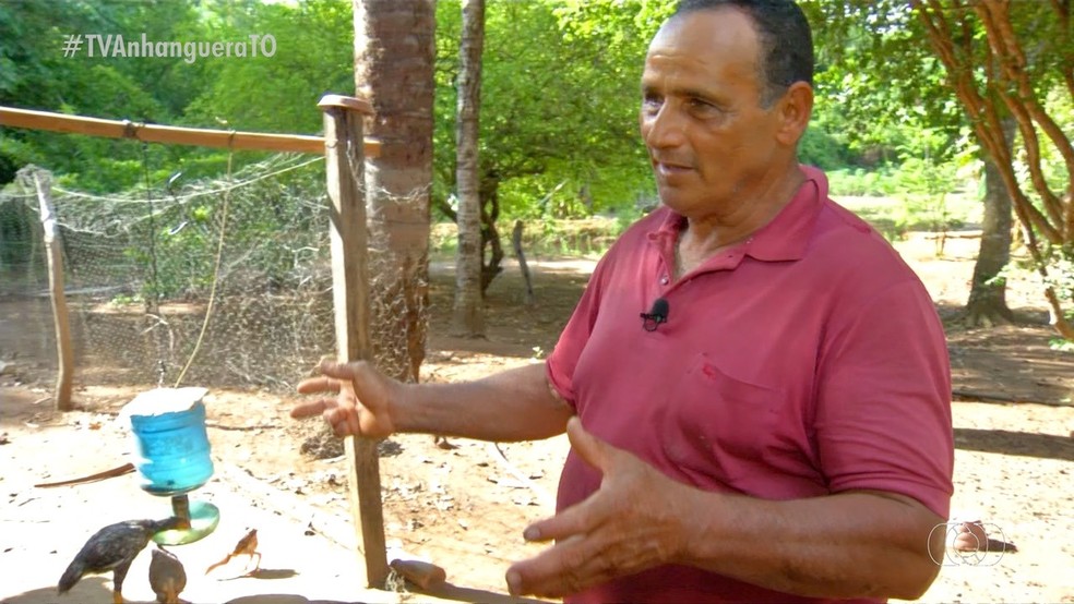 Raimundo tentou reforçar galinheiro, mas mesmo assim a onça conseguiu pegar galinhas — Foto: TV Anhanguera/Reprodução