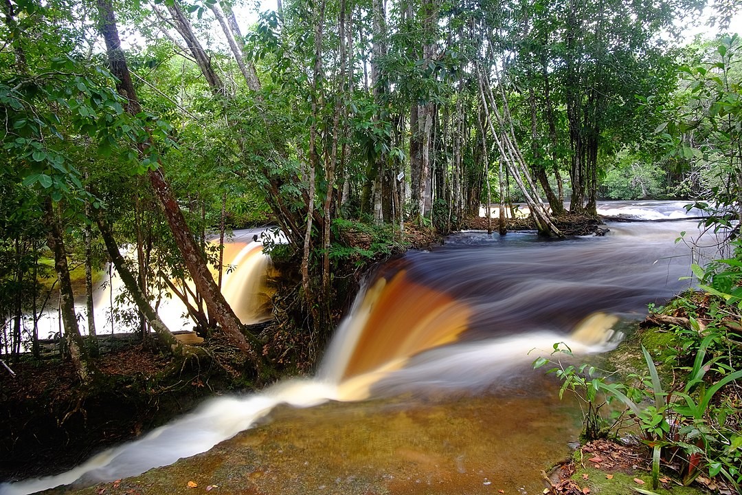 A exploração da Amazônia não gera riqueza e distribuição de renda para as comunidades locais (Foto: Wikipedia/ Jardelsliumba/ Wikimedia Commons)