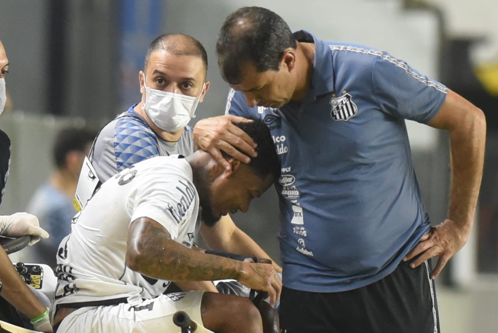 Marinho e Carille em Santos x Chapecoense — Foto:  Ivan Storti/Santos FC