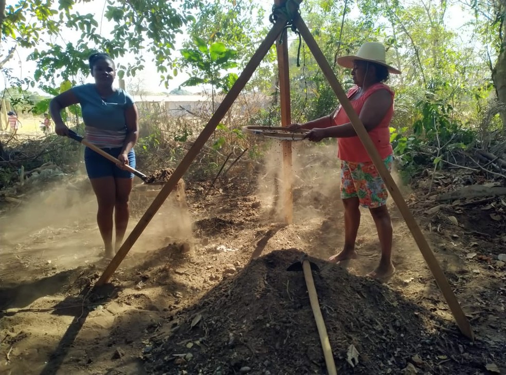 Cultivo de espcies nativas ser feito por famlias pantaneiras  Foto: Sesc Pantanal