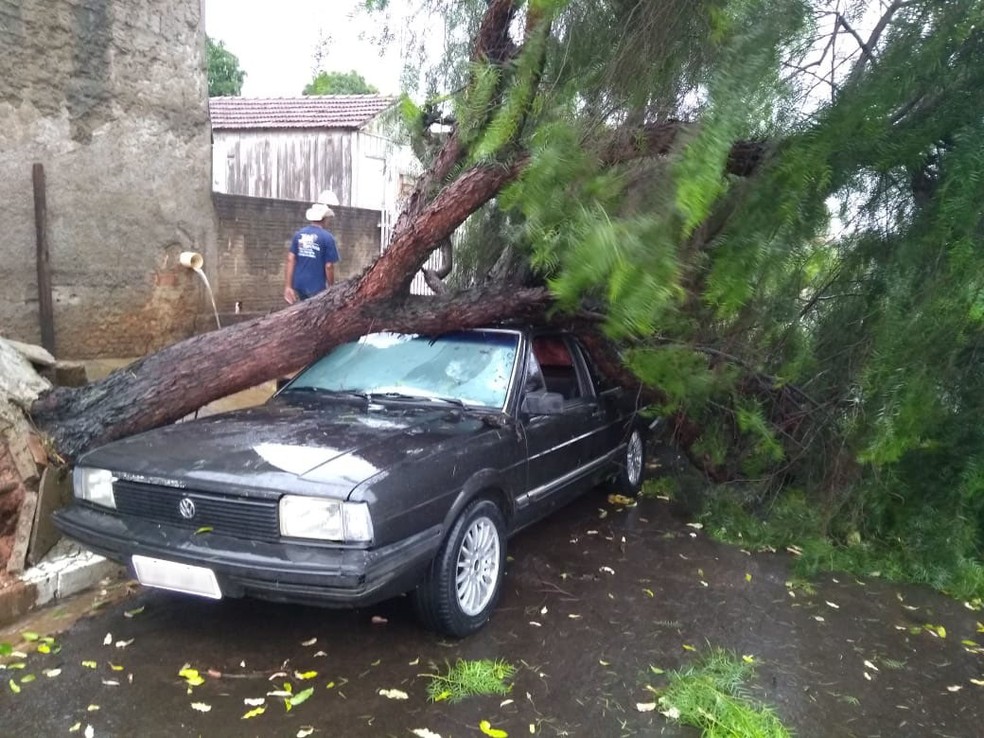 Árvore caiu sobre carro em Junqueirópolis — Foto: Base Comunitária de Bombeiros