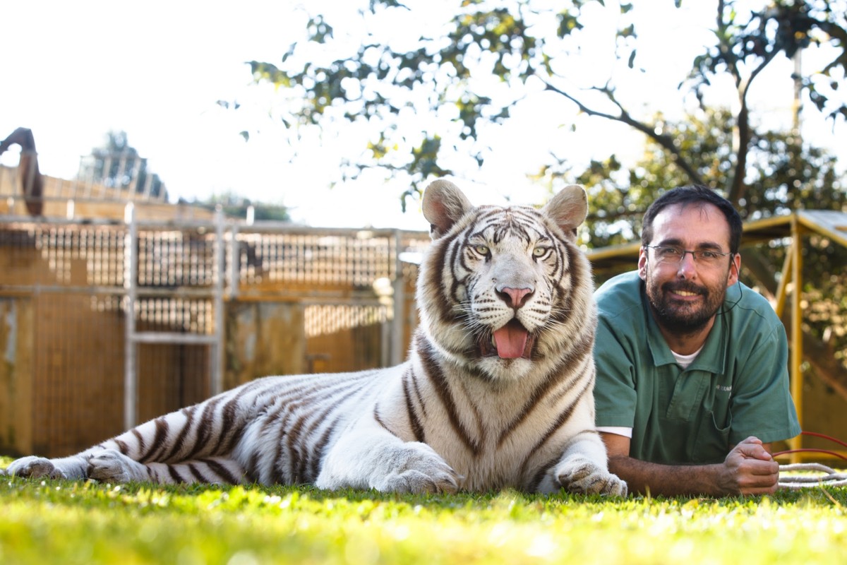 Veterinario Afastado Do Zoo De Sorocaba Apos Denuncias Retorna Ao Cargo Sorocaba E Jundiai G1