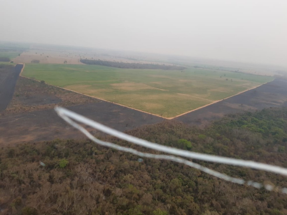 Incêndio atinge Parque Estadual do Aguapeí — Foto: Defesa Civil