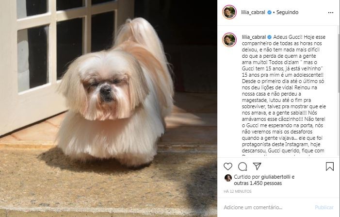 Lilia Cabral lamenta morte de Gucci, seu cachorro de estimação (Foto: Reprodução / Instagram)