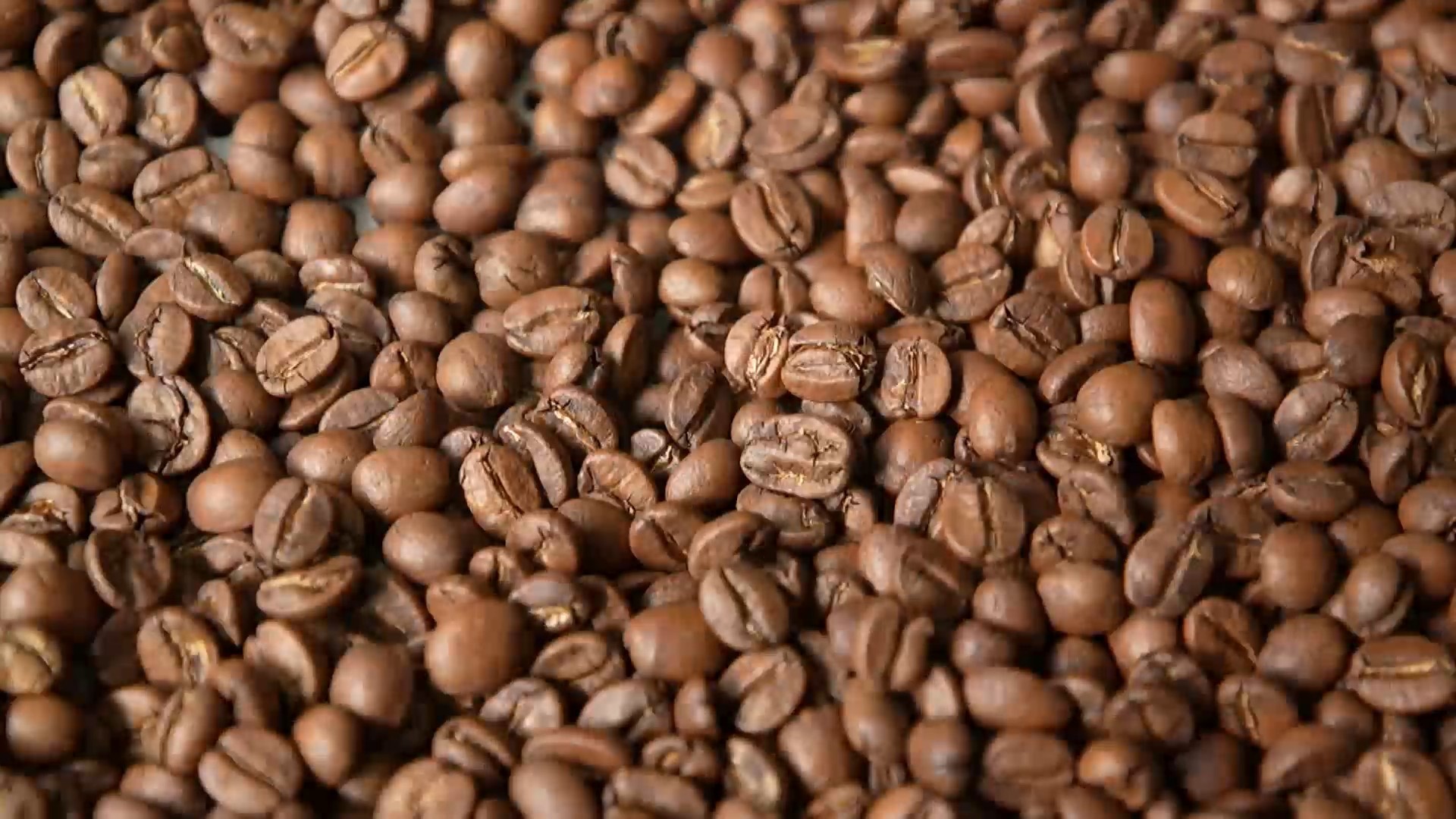Provar até 150 bebidas por dia, assoviar e ter alimentação saudável: entenda o trabalho de um degustador de café